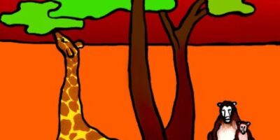 african safari african safari