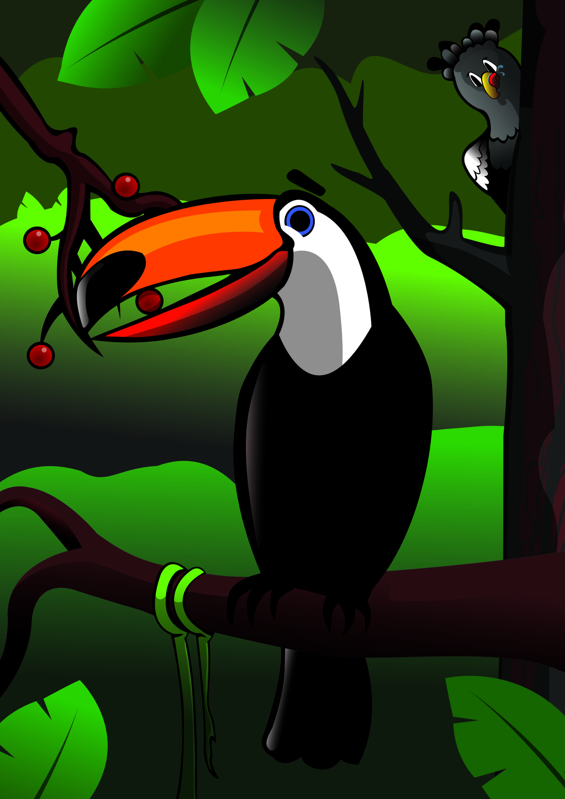 Amazon Toucan