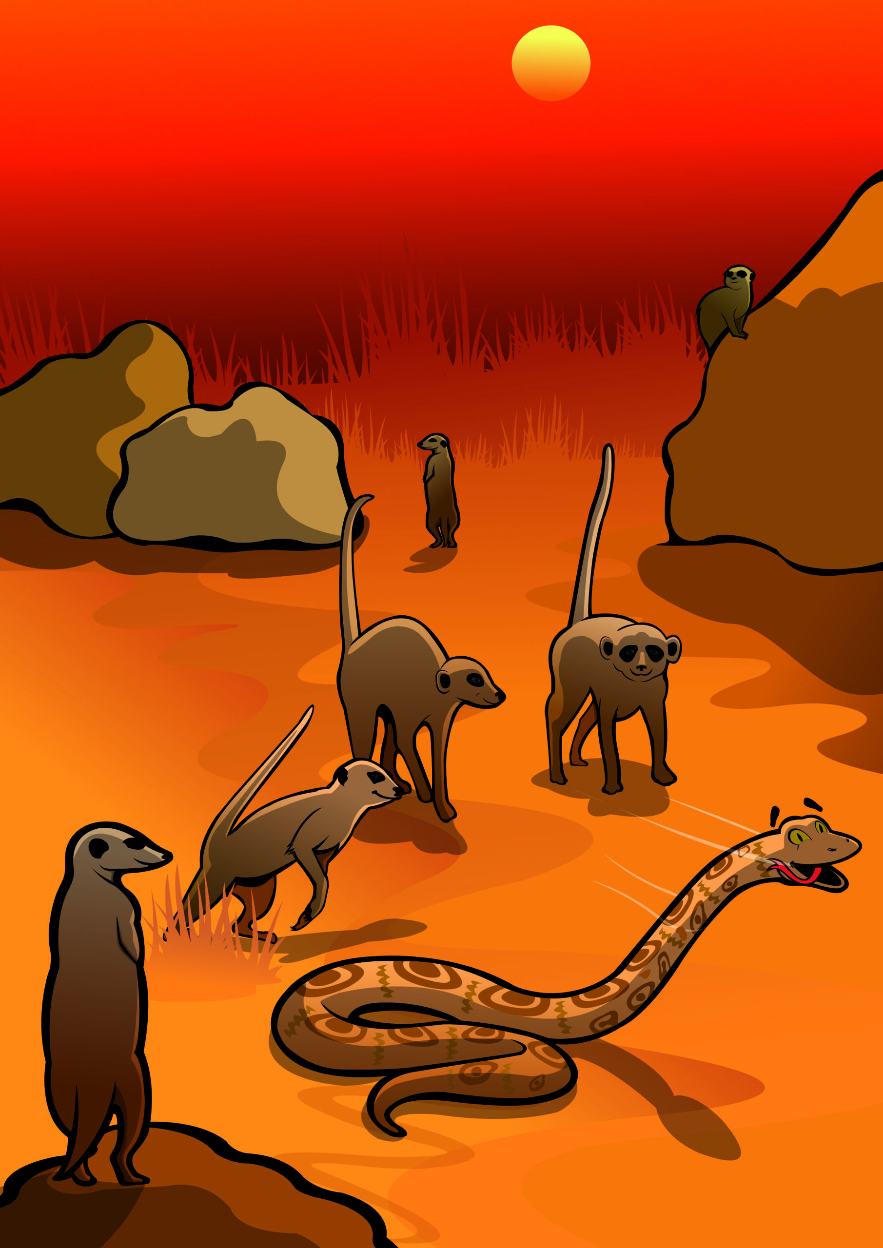 african safari meerkats