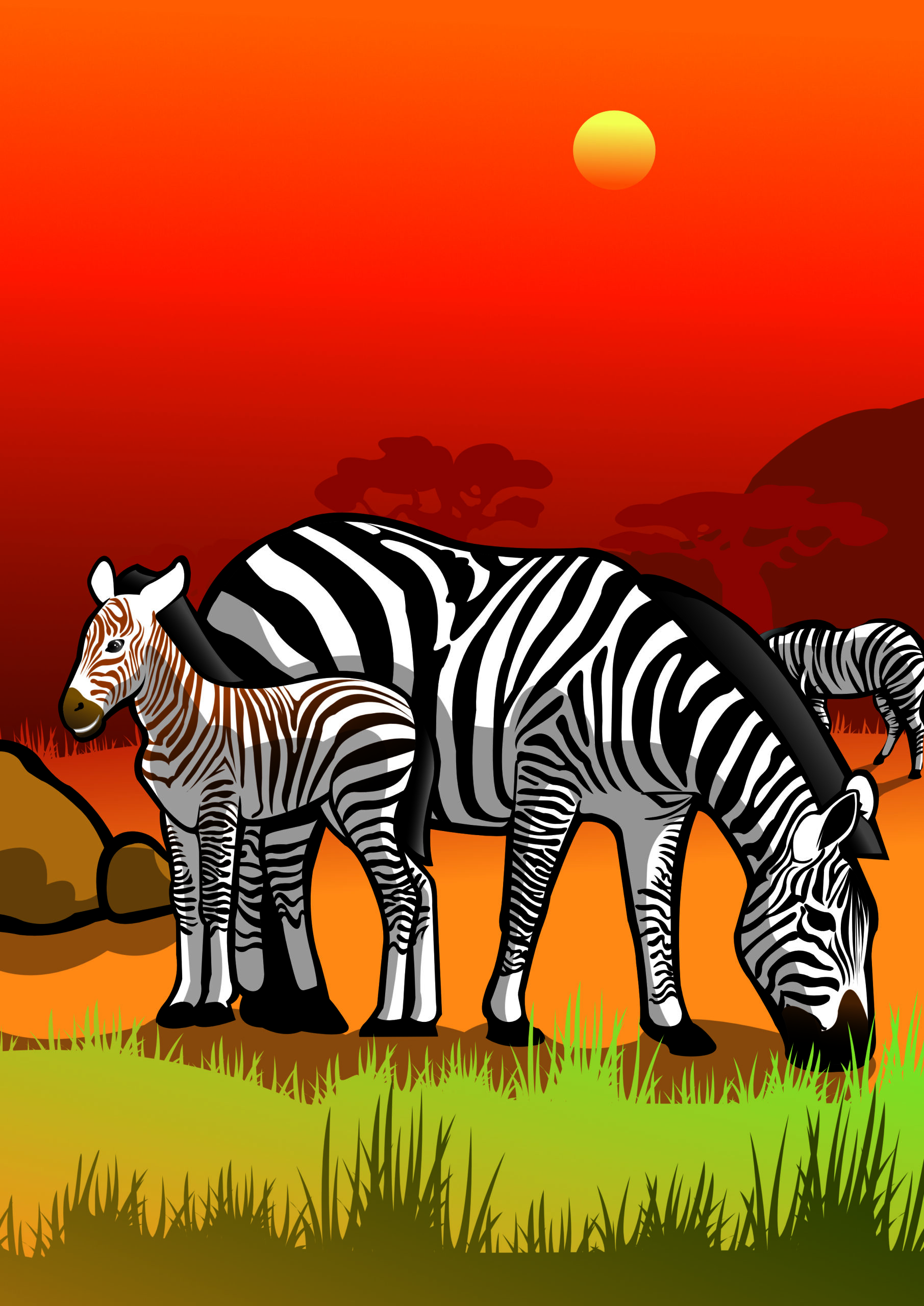 african safari zebra