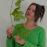 Victoria Navin Presenting jack and The Beanstalk at the Sensory Festival | Little magic train