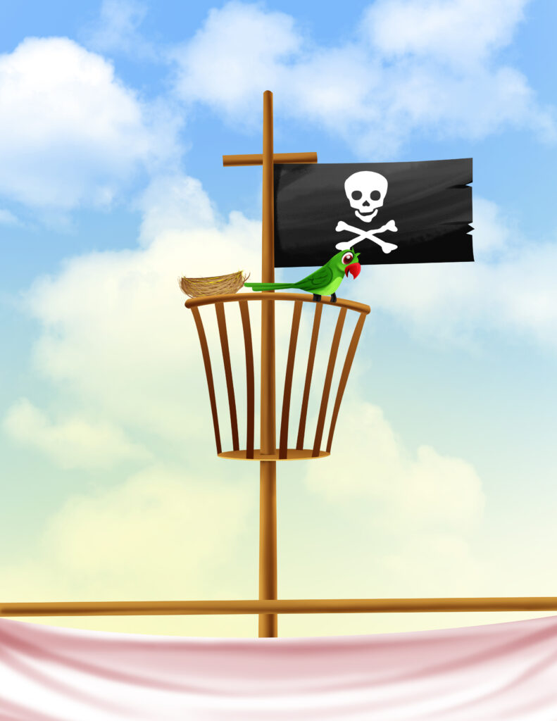 pirate
